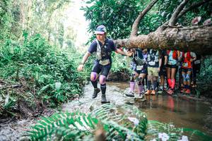 BIB: 
                            <button type="button" onclick="openModal(25471544)" class="btn btn-primary btn-sm float-right btn-popup" data-toggle="modal" data-target=".modal-high-quality">
                        <i class="fas fa-shopping-cart"></i> Add to Cart
                    </button>
                                            <button type="button" onclick="isThisMe(25471544, true)" class="btn btn-success btn-sm float-right btn-popup btn-isme hidden" data-toggle="tooltip" data-placement="bottom" title="นี่คือรูปของคุณใช่ไหม คลิกที่นี่เพื่อเอาเข้าอัลบั้ม">
                        <i class="fas fa-plus"></i> Add to album
                    </button>
                    <button type="button" onclick="isThisMe(25471544, false)" class="btn btn-warning btn-sm float-right btn-popup btn-isnotme hidden">
                        <i class="fas fa-ban"></i> Remove from album
                    </button>